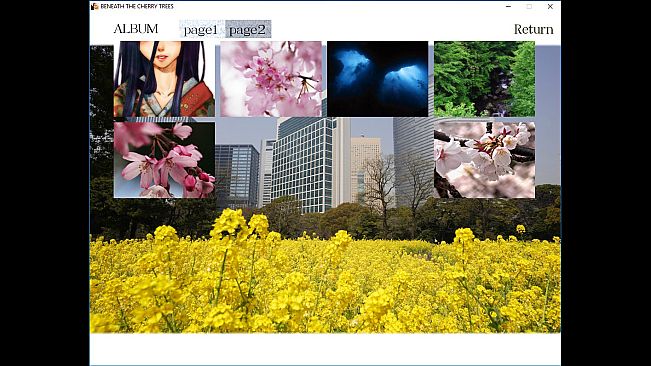 Beneath The Cherry Trees