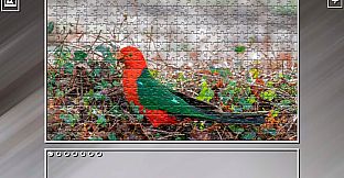 Super Jigsaw Puzzle: Generations - Parrots