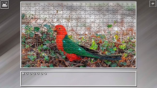 Super Jigsaw Puzzle: Generations - Parrots