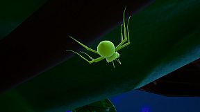 蚂蚁模拟器（Ant simulator）