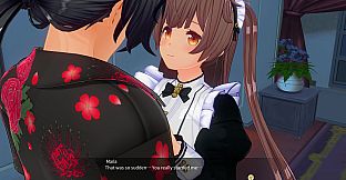 CUSTOM ORDER MAID 3D2&2.5+X1 Dark