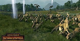 Total War: WARHAMMER - Realm of The Wood Elves