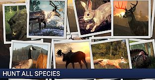 theHunter - Deer Hunter