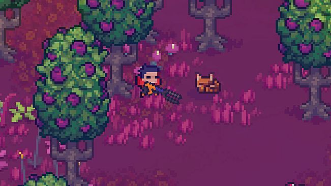 Nova Lands - Supporter Pack