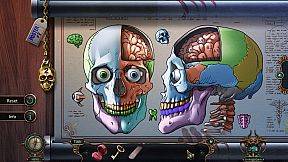 Haunted Hotel: Lost Time Collector's Edition