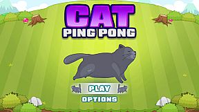 Cat Ping Pong