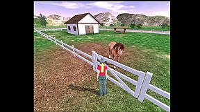 Grand horse attraction