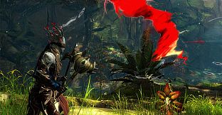 Expansion Starter Pack - Guild Wars 2: Heart of Thorns and Path of Fire