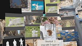 1 multi screen media player gallery video wall photo slideshow wizard app