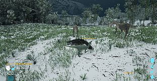 Evolution Of The Ancients