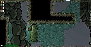 The Celestial Seeker