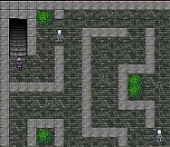 Project Druid - 2D Labyrinth Explorer-