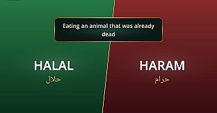 Guidance in Islam