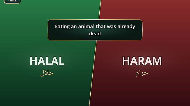 Guidance in Islam