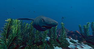 Ecosystem - Tropical Fish Pack