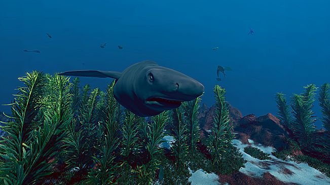 Ecosystem - Tropical Fish Pack