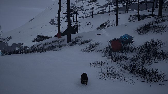 Paws & Circuits: Reboot Earth