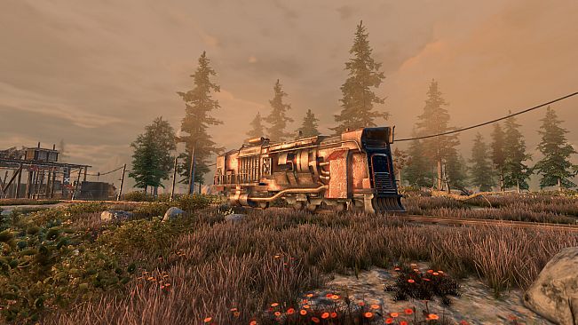 New Cycle - Supporter Pack