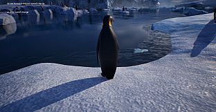 Life of a Penguin
