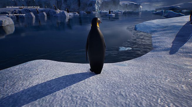 Life of a Penguin