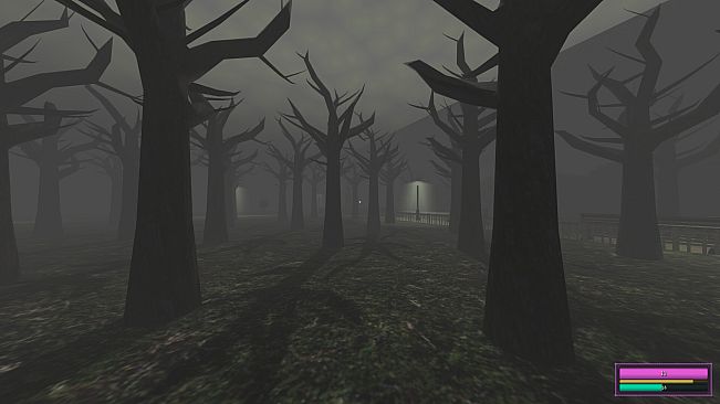 Vignettes: The Dream City