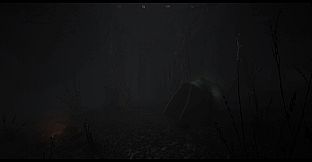 The House In The Woods