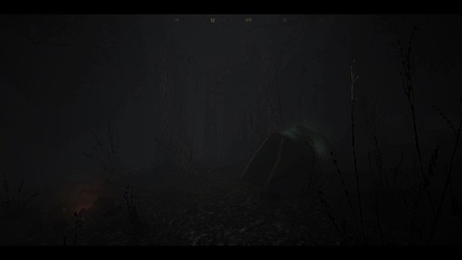 The House In The Woods