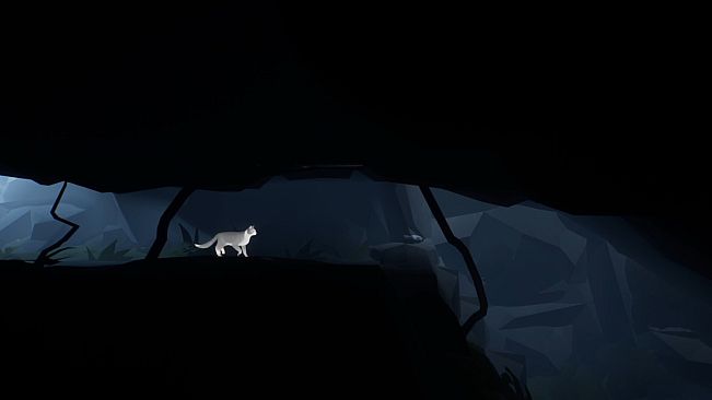 Seeking Home