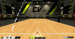 CrazyVolleyball