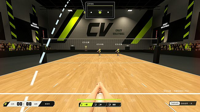 CrazyVolleyball