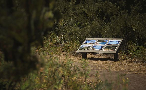 Lushfoil Photography Sim