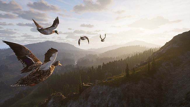 Way of the Hunter 2 - Deluxe Edition
