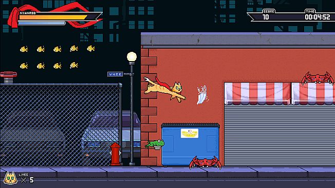 Nyanroo The Supercat