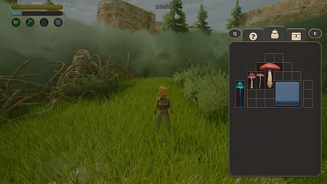 Quiet Grove: Lost in the Fog
