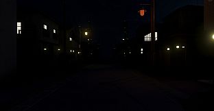 The Way Home at Night