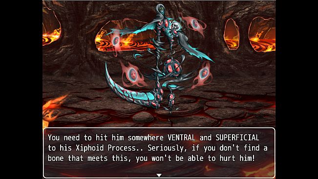 The King's Request: Physiology and Anatomy Revision Game