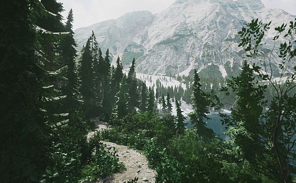 Lushfoil Photography Sim