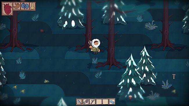 KRAI LESA: Edge of the Forest