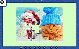 1001 Jigsaw. Ice Age