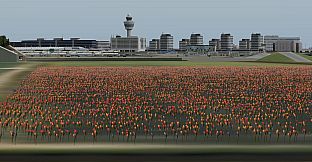 X-Plane 11 - Add-on: Aerosoft - Airport Amsterdam