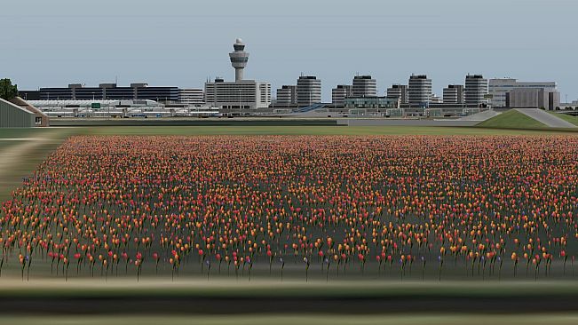 X-Plane 11 - Add-on: Aerosoft - Airport Amsterdam