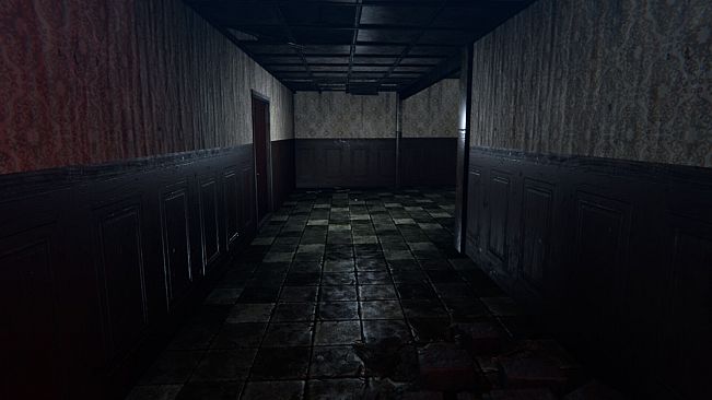 The Sleep Experiment