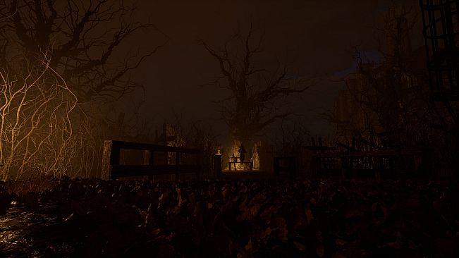 The Excavation: Beneath The Cathedral