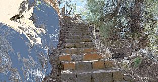 Petra and The Thylacine