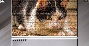 Super Jigsaw Puzzle: Generations - Cats 2