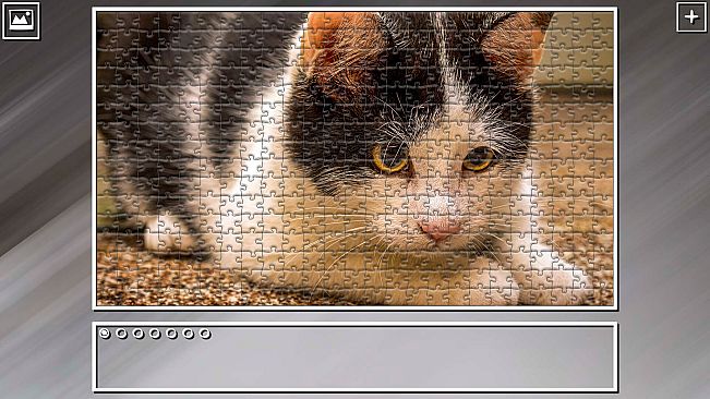 Super Jigsaw Puzzle: Generations - Cats 2