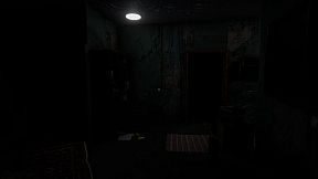 Unknown Memoirs: The Rental