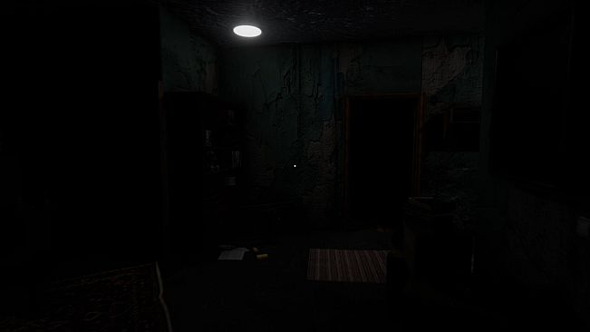 Unknown Memoirs: The Rental