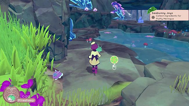 Dreamland Confectionery