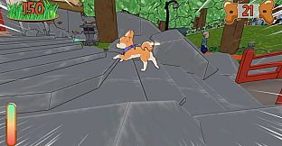 Run Shiba Run!